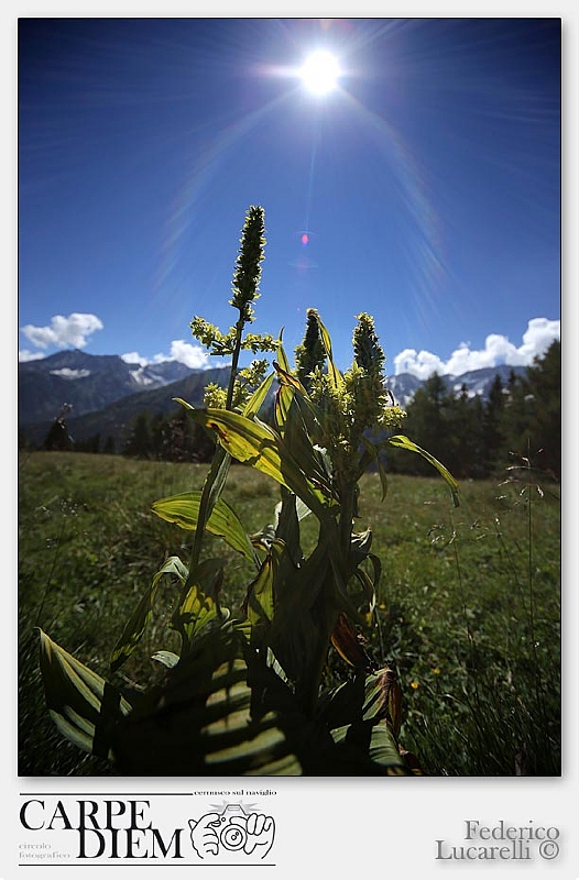 Controluce trentino.jpg